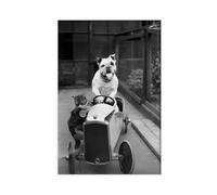 ZJIXAOSD Funny Dog and Cat Black And White Art, Dog Driver Driving Car Retro Style Canvas Wall Art Posters And Prints Room Aesthetic Bedroom Office Decor 16x24inch(40x60cm)