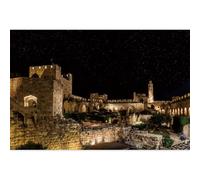 ZJRBJB 10x8ft Jerusalem The Old City Decorations Backdrop Israel Night Ancient Stone Wall Background Cityscape Mount of Olives Holy Land Religious Bible Prayer Birthday Banner Photo Booth