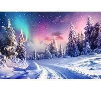 ZJRBJB 10x8ft Winter Forest Christmas Decorations Backdrop Xmas Colorful Northern Lights Aurora Pine Tree Background Wonderland Snow Scenery Fairy Tales New Year Birthday Banner Photo Booth