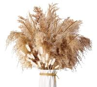 ZJTAPE Pampas Grass Dried - 45 Pcs Natural Dried Flowers Decoration, Brown Pampas Grass Fluffy Fronds, Short Pampas Dried Flowers Bouquet Dried Flowers