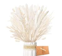 ZJTAPE Pampas Grass Dried - Natural Dried Flowers, White Pampas Grass and Lagurus Deco, Dried Bouquet of Dried Flowers for Crafting, for Wedding Table Living Room Vases Boho Home Decor