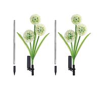 Zjyufy 2 Pack Solar Outdoor Dandelion Lights, 36 Colorful LED, Waterproof Garden Path Lights