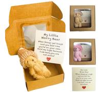 ZKFSIE 2PCS Worry Bear Hug in a Box, Premium Soft Worry Bear for Comfort & Emotional Support, Stress Relief Gift for Women, Includes 2 Bears with Durable Kraft Boxes & Personalized Cards