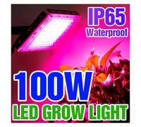 ZKLGS Grow Light, Led Grow Light Plant Hydroponic Lamp LED Full Spectrum LED Phytolamps Light Greenhouse Seeds Flower Grow Lighting 50W 100W(100W)