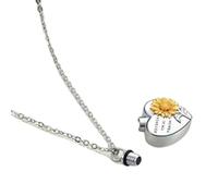 Zkydhbd Heart Ashes Locket Memorial Jewelry Cremation Box Daily Wear Metal Casket Cremation Jewelry Urn Necklace For Ashes