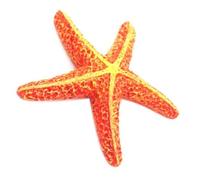 Zkydhbd Hexagonal Aquariums Decoration Artificial Starfishes Emulational Fish Tanks For Home Office And Restaurants Aquariums Decoration For Hobbyists