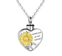Zkydhbd Stainless Steel Pet Urns Holder Necklace For Dogs Cats Pet Memorial NecklaceKeepsake Loss Pet Remembrance Jewelry