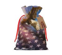 zkyfll American USA Flag Eagle Art print Christmas Drawstring Gift Bags Xmas Holiday Party Favor Candy Treats Presents