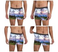 ZKZBDPLK Men'S Grand Teton National Park Print Boxer Briefs - Low Rise, Breathable & Stylish Underwear