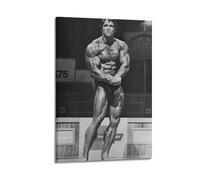 ZLHNBWL Arnold Schwarzenegger Bodybuilding Poster Poster Decorative Painting Canvas Wall Posters And Art Picture Print Modern Family Bedroom Decor Posters 20x30inch(50x75cm)