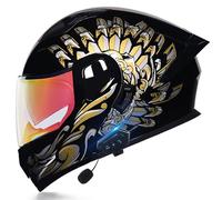 ZLHYQA Motorcycles Helmet Intercom, Flip Up Helmet Modular Motor Helmets Full Face Helmet with Dual Visor, Headset Automatic Answering Hands-Free, ECE Approved