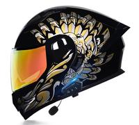 ZLHYQA Motorcycles Helmet Intercom, Flip Up Helmet Modular Motor Helmets Full Face Helmet with Dual Visor, Headset Automatic Answering Hands-Free, ECE Approved