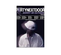 ZLLFES PartyNextDoor Two-PartyNextDoor Poster Canvas Wall Art Modern Simple Style Suitable for Various Life Scenes Is Also A Great Birthday Gift Souvenir ChoiceUnframe-style08x12inch(20x30cm)