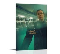 ZLLFES Rex Orange County Apricot Princess Poster Canvas Wall Art Modern Simple Style Suitable for Various Life Scenes Is Also A Great Birthday Gift Souvenir ChoiceFrame-style20x30inch(50x75cm)