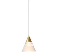 ZLLFHS Adjustable LED Single Head Chandelier - European Style Interior Decoration Pendant Light Shade - Acrylic Lampshade Hanging Lamp,wall lamp