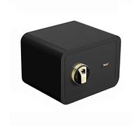ZLLFHS Safes Safety Deposit ， Fingerprint 25cm Anti-theft Against the Wall Invisible Swith Keypad to Protect Money， Jewelry， Passports， 4 Colors SCabinet