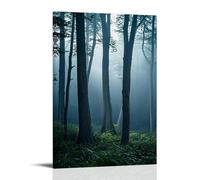 ZLLJXFZZ A Foggy Morning in A Forest, with Soft Light Filtering through The Trees And A Sense of Mystery Wall Art Mural Modern Decoration Hanging Art Poster 16x24inch(40x60cm)