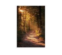 ZLLJXFZZ A Forest Path with Golden Sunlight Filtering through Trees, Poetic Realism Wall Art Mural Modern Decoration Hanging Art Poster 16x24inch(40x60cm)