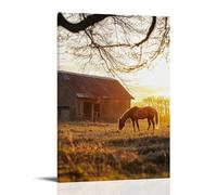 ZLLJXFZZ A Horse Grazing near An Old Barn, Golden Hour Light Wall Art Mural Modern Decoration Hanging Art Poster 16x24inch(40x60cm)