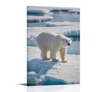 ZLLJXFZZ Animal Poster Arctic, Polar Bear Ice Fracture Wall Art Mural Modern Decoration Hanging Art Poster 12x18inch(30x45cm)