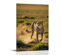 ZLLJXFZZ Animal Poster Grassland, Cheetah Dust Sprint Wall Art Mural Modern Decoration Hanging Art Poster 12x18inch(30x45cm)