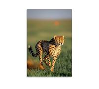 ZLLJXFZZ Animal Poster Grassland, Cheetah Dust Sprint Wall Art Mural Modern Decoration Hanging Art Poster 08x12inch(20x30cm)