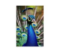 ZLLJXFZZ Animal Poster Lively, Dancing Peacock Wall Art Mural Modern Decoration Hanging Art Poster 16x24inch(40x60cm)