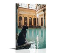 ZLLJXFZZ Budapest Thermal Cats Wall Art Mural Modern Decoration Hanging Art Poster 24x36inch(60x90cm)