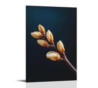 ZLLJXFZZ Coffee Poster Macro, Coffee Bloom Time-lapse Wall Art Mural Modern Decoration Hanging Art Poster 08x12inch(20x30cm)