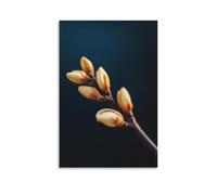 ZLLJXFZZ Coffee Poster Macro, Coffee Bloom Time-lapse Wall Art Mural Modern Decoration Hanging Art Poster 16x24inch(40x60cm)
