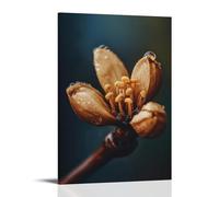 ZLLJXFZZ Coffee Poster Macro, Coffee Bloom Time-lapse Wall Art Mural Modern Decoration Hanging Art Poster 20x30inch(50x75cm)