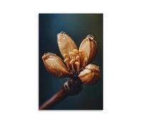 ZLLJXFZZ Coffee Poster Macro, Coffee Bloom Time-lapse Wall Art Mural Modern Decoration Hanging Art Poster 24x36inch(60x90cm)