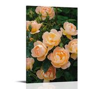 ZLLJXFZZ Flowers Poster Featuring A Pink Roses in Bloom And Green Leaves Wall Art Mural Modern Decoration Hanging Art Poster 24x36inch(60x90cm)