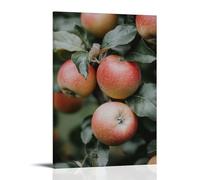 ZLLJXFZZ Fruit Poster Organic, Apple Orchard Wall Art Mural Modern Decoration Hanging Art Poster 12x18inch(30x45cm)