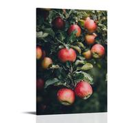 ZLLJXFZZ Fruit Poster Organic, Apple Orchard Wall Art Mural Modern Decoration Hanging Art Poster 12x18inch(30x45cm)