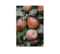 ZLLJXFZZ Fruit Poster Organic, Apple Orchard Wall Art Mural Modern Decoration Hanging Art Poster 24x36inch(60x90cm)
