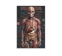 ZLLJXFZZ Human Anatomy Poster Wall Art Mural Modern Decoration Hanging Art Poster 08x12inch(20x30cm)