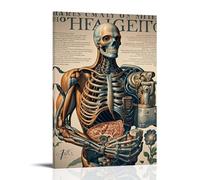 ZLLJXFZZ Human Anatomy Poster Wall Art Mural Modern Decoration Hanging Art Poster 08x12inch(20x30cm)