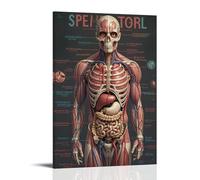 ZLLJXFZZ Human Anatomy Poster Wall Art Mural Modern Decoration Hanging Art Poster 12x18inch(30x45cm)