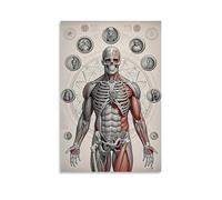 ZLLJXFZZ Human Anatomy Poster Wall Art Mural Modern Decoration Hanging Art Poster 12x18inch(30x45cm)