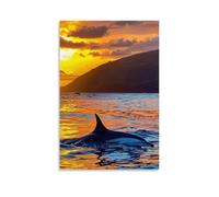 ZLLJXFZZ Landscape Poster Featuring Two Males of Killer Whales in The Water at Sunset Wall Art Mural Modern Decoration Hanging Art Poster 20x30inch(50x75cm)
