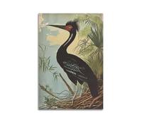 ZlXXYZ Wall Art for Modern Family Office Decor Canvas Posters - Animal Retro Illustrative Style Black Heron Ecology 12x18inch(30x45cm) Unframe-style