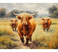 ZLYHAL Painting by Number Kits for Adults,Farm Animal Highland Cattle,DIY Canvas Oil Painting Kit for Beginner with Paint Brushes Acrylic Pigment Drawing Paintwork 16x20inch