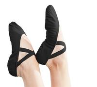 ZMCGNO Ballet Shoes Dance Slippers Practice Canvas Women's Slippers(Black,39(23CM))