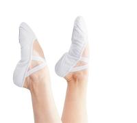 ZMCGNO Ballet Shoes Dance Slippers Practice Canvas Women's Slippers(White,39(23CM))