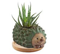 zmgmsmh Cute Hedgehog Shaped Vase Pot Home Decoration for Small Succulent Plants Cartoon Flower Pot Hedgehog Succulent Planter with Drainage Hole Succulent Holder (S-4.4X3.2X2.2IN)