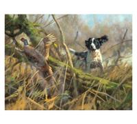 ZMHZMY Digital Painting DIY Frameless Paint by Number Kits Springer Spaniel Dog Animal Paint by Numbers Oil Painting Canvas Print Wall Art Home Decoration