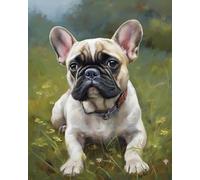 ZMHZMY DIY Easy Paint by Numbers,French Bulldog on The Grass,Canvas Painting Kit,Add a Splash of Color to Your Living Space,40x50cm Without Frame