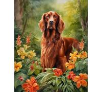 ZMHZMY DIY Paint by Number for Adults, Irish Setter Dog Paint by Number Set with Professional Brushes,40x50cm,No Frame