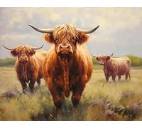 ZMHZMY DIY Paint by Numbers for Adults Canvas Cattle Highland Cow Animal DIY Oil Painting, Pictures Drawing Paintwork with Paintbrushes Decoration Gift